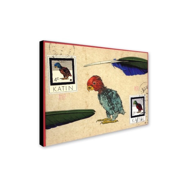 Nick Bantock 'Katin Parrot' Canvas Art,24x32